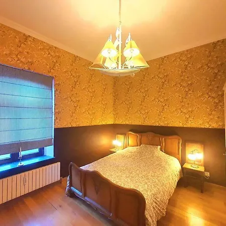 Big House - Bbq - Free Parking 4* Andenne