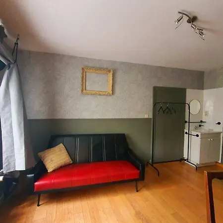 Big House - Bbq - Free Parking Hotel Andenne